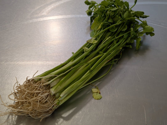 冬の野菜・芹が教えてくれる清々しい生き方 ✨
